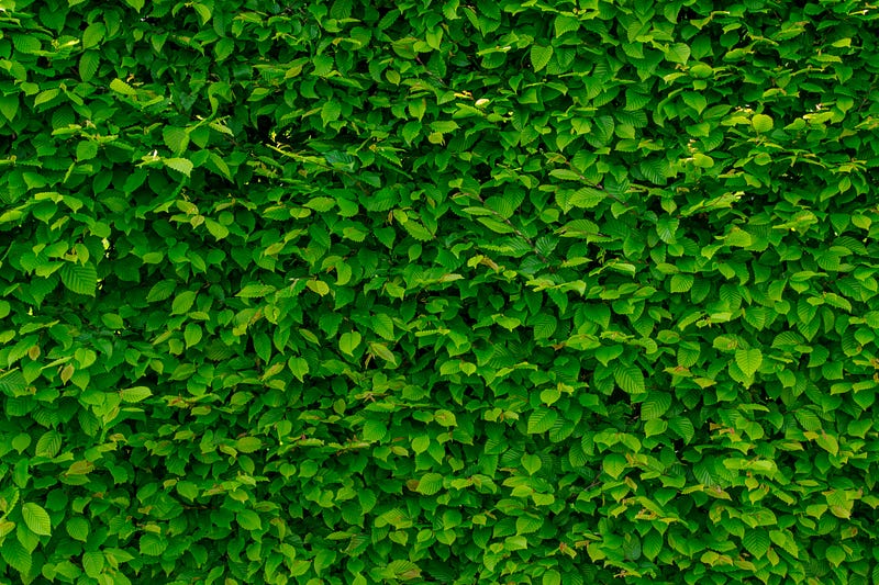 Coder, you are doing&nbsp;fine, but it is a walled garden!