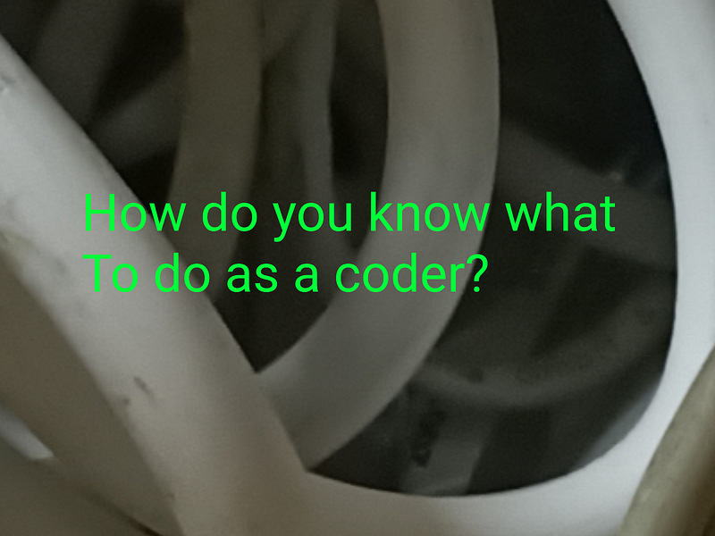 How do you know what to do as a programmer?