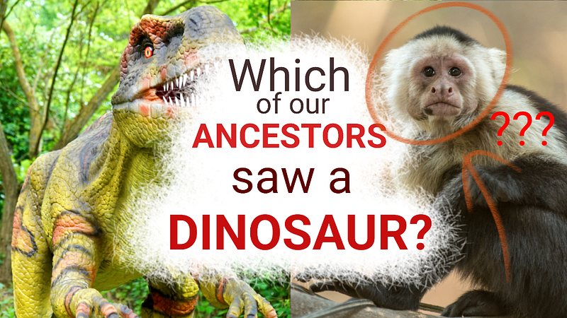🦕 Which Of Our Ancestors Saw Dinosaurs?
