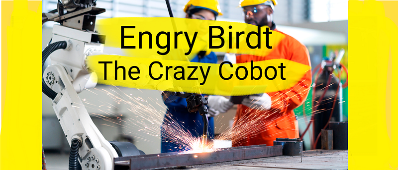 Engry Birdt — The Crazy Cobot
